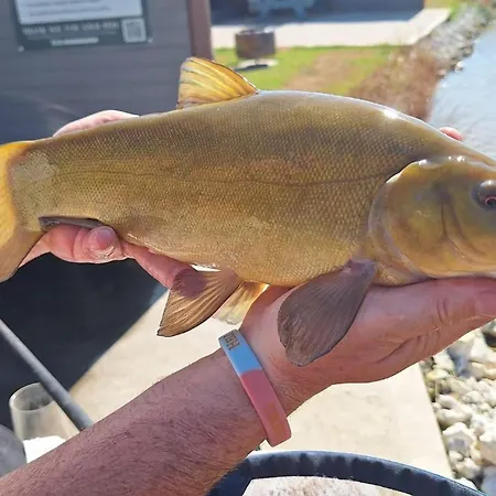 Lakeside Fishing Retreats Boston Room photo
