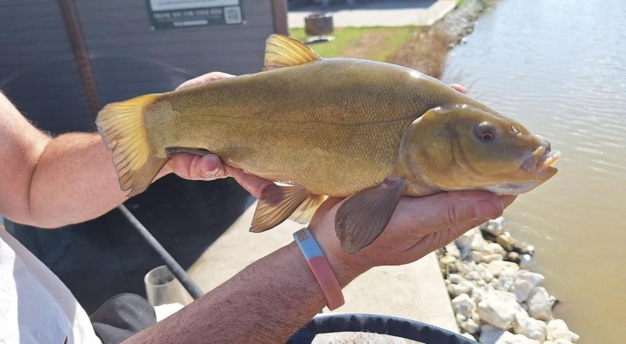 Resort Lakeside Fishing Retreats *