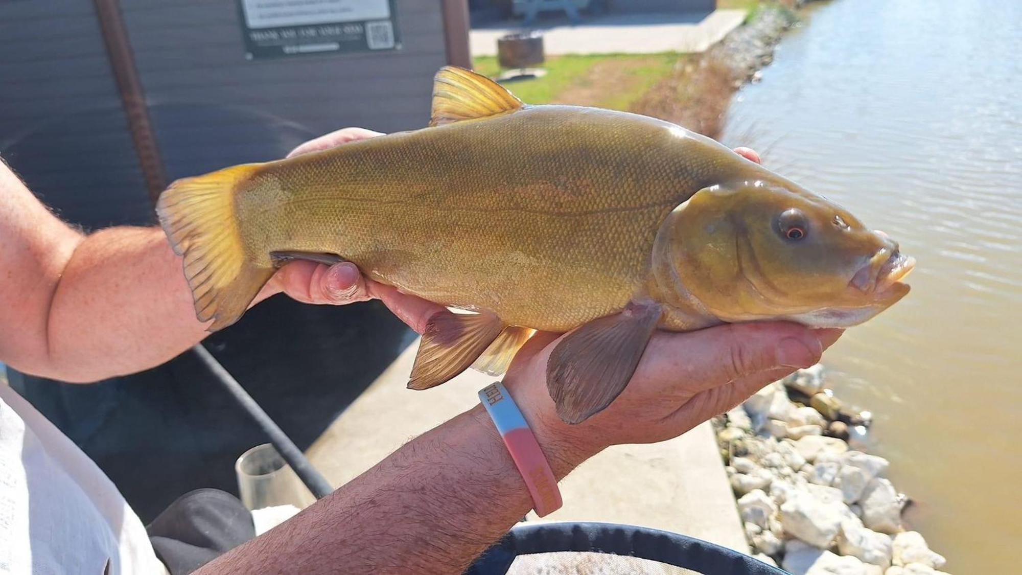 Lakeside Fishing Retreats