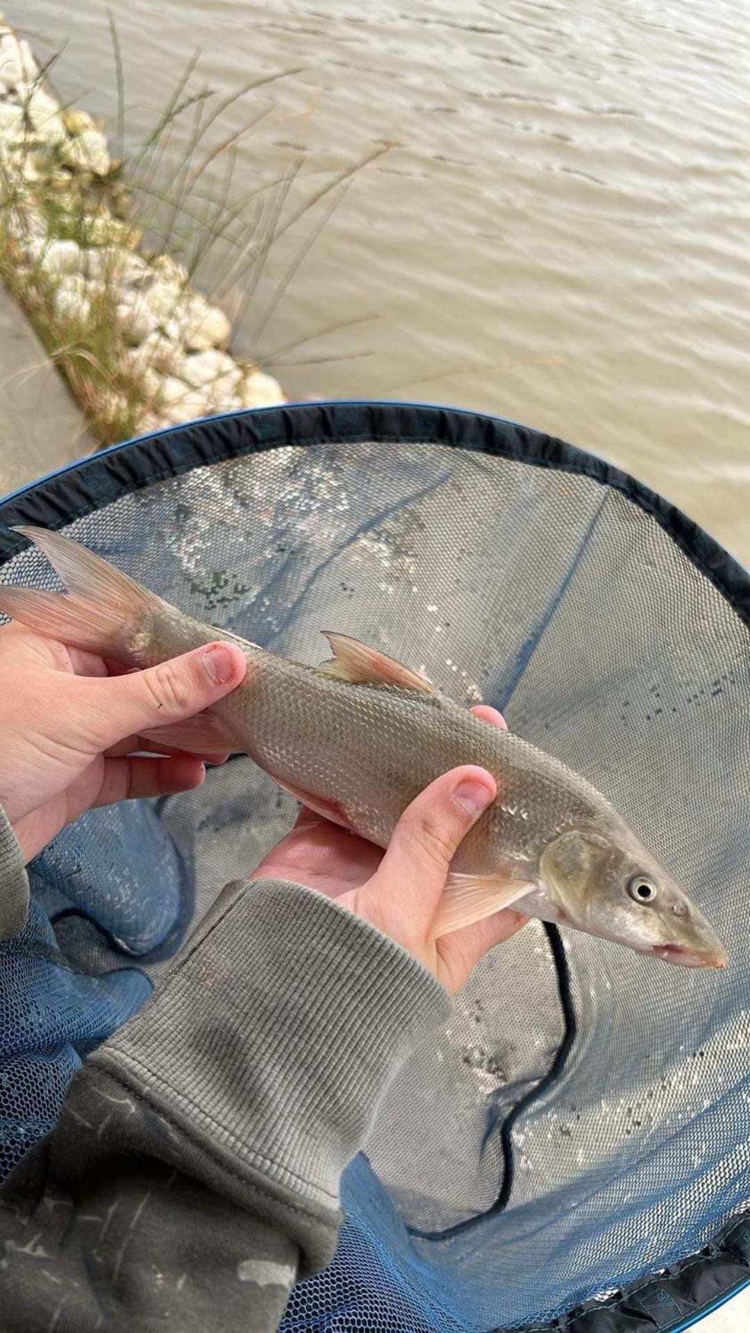 Resort Lakeside Fishing Retreats *