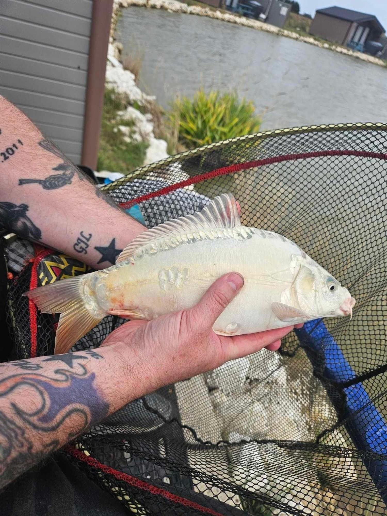 Lakeside Fishing Retreats * Boston