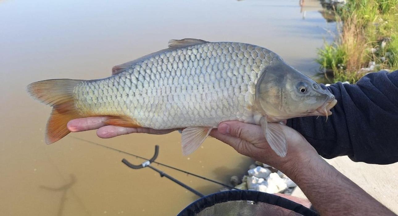 Lakeside Fishing Retreats * Boston