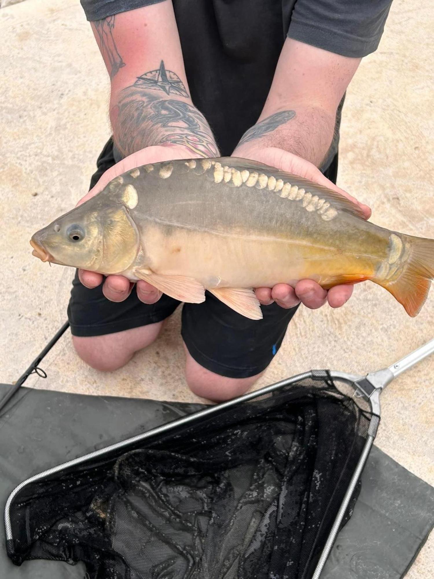 Lakeside Fishing Retreats