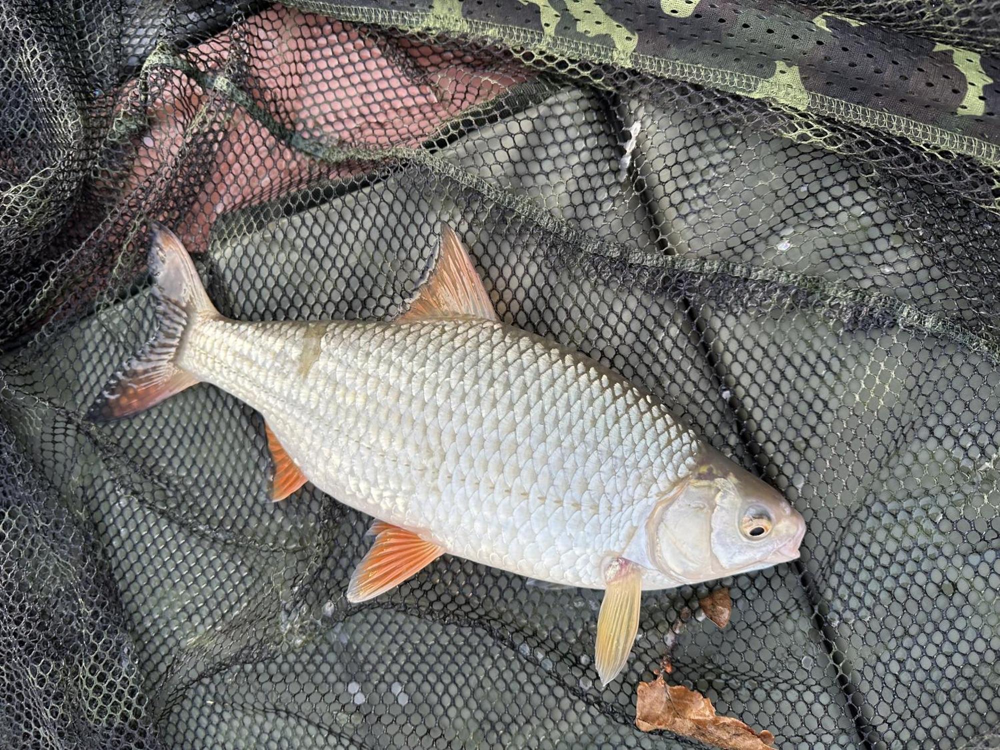 Resort Lakeside Fishing Retreats
