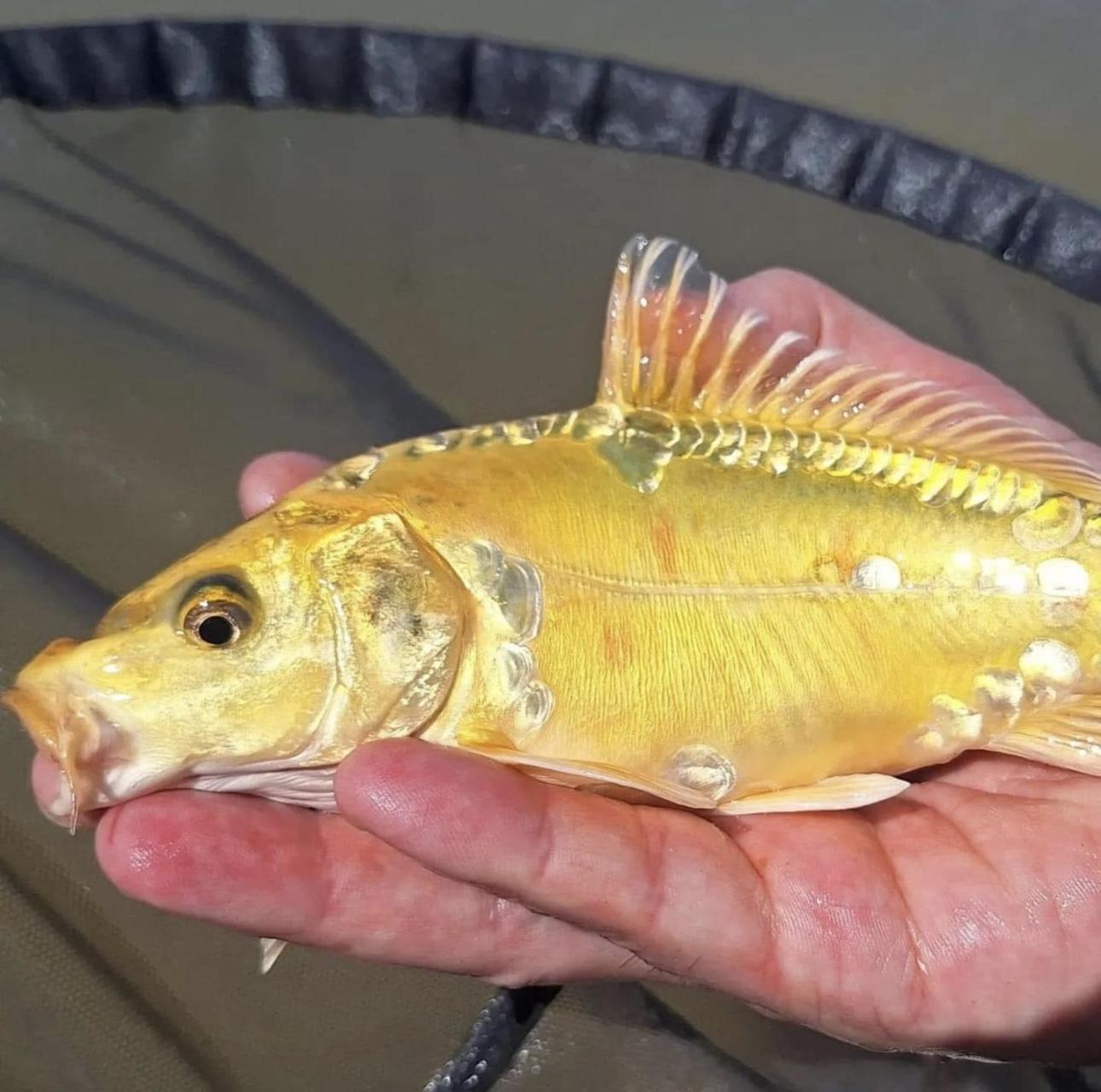 Lakeside Fishing Retreats Boston